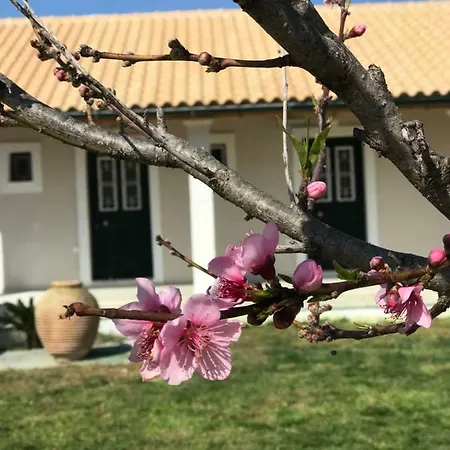 Tamaris House Apartament