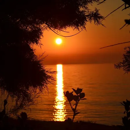 Tamaris House * Acharavi (Corfu)